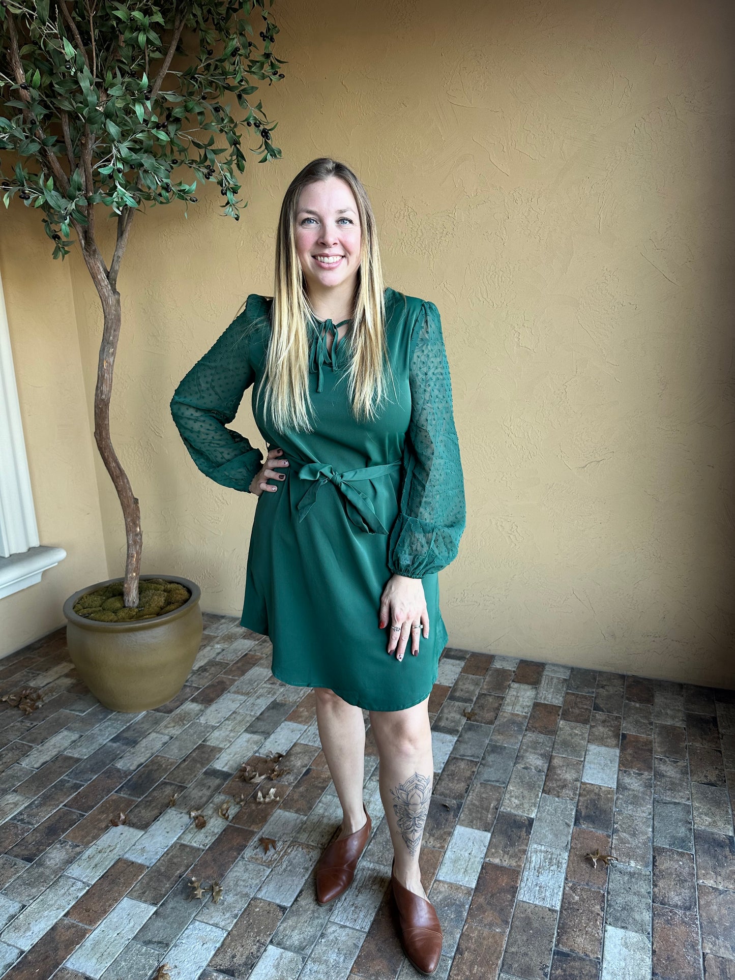 Satin Swiss Dot Sleeve Dress