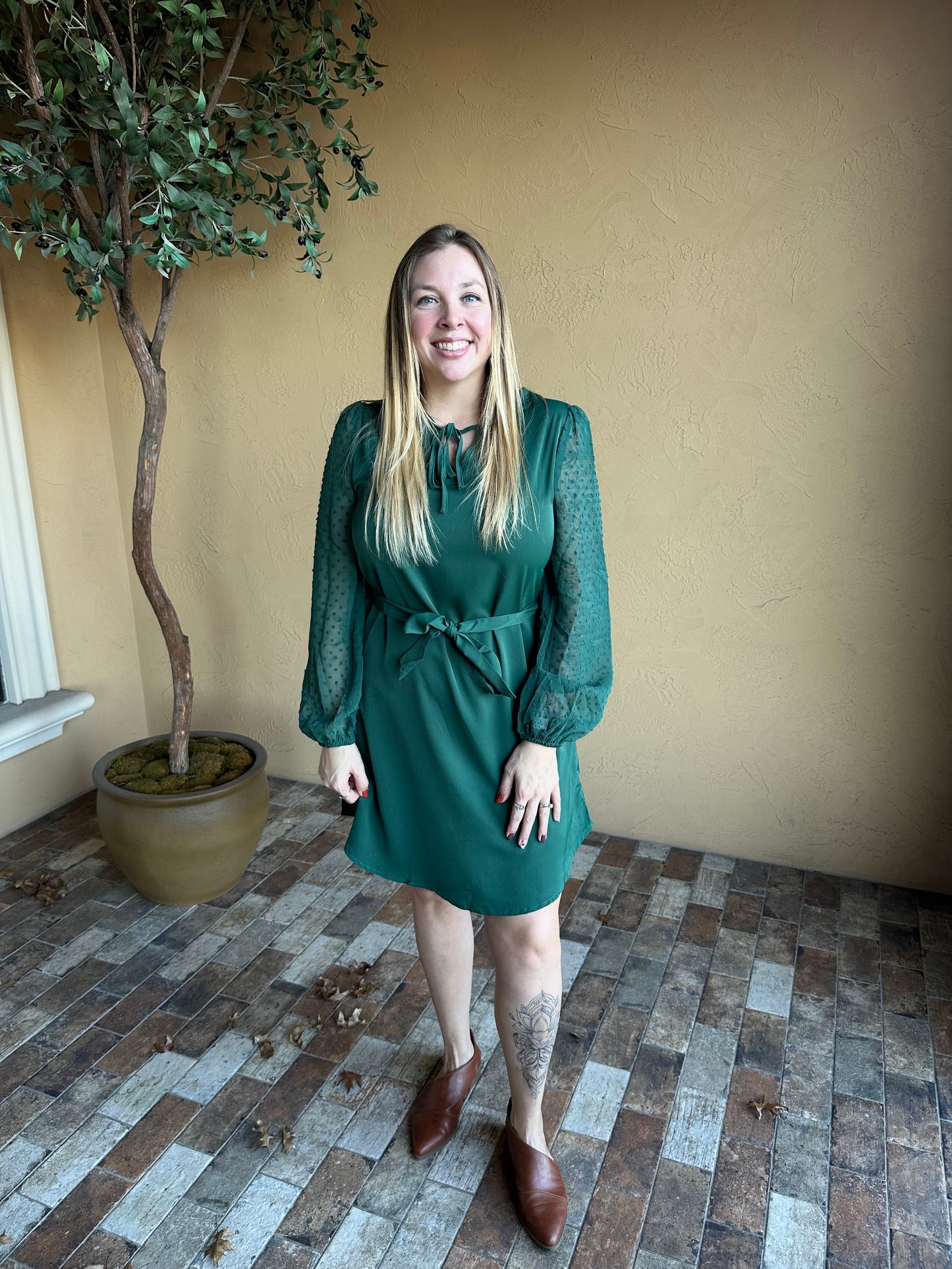 Satin Swiss Dot Sleeve Dress