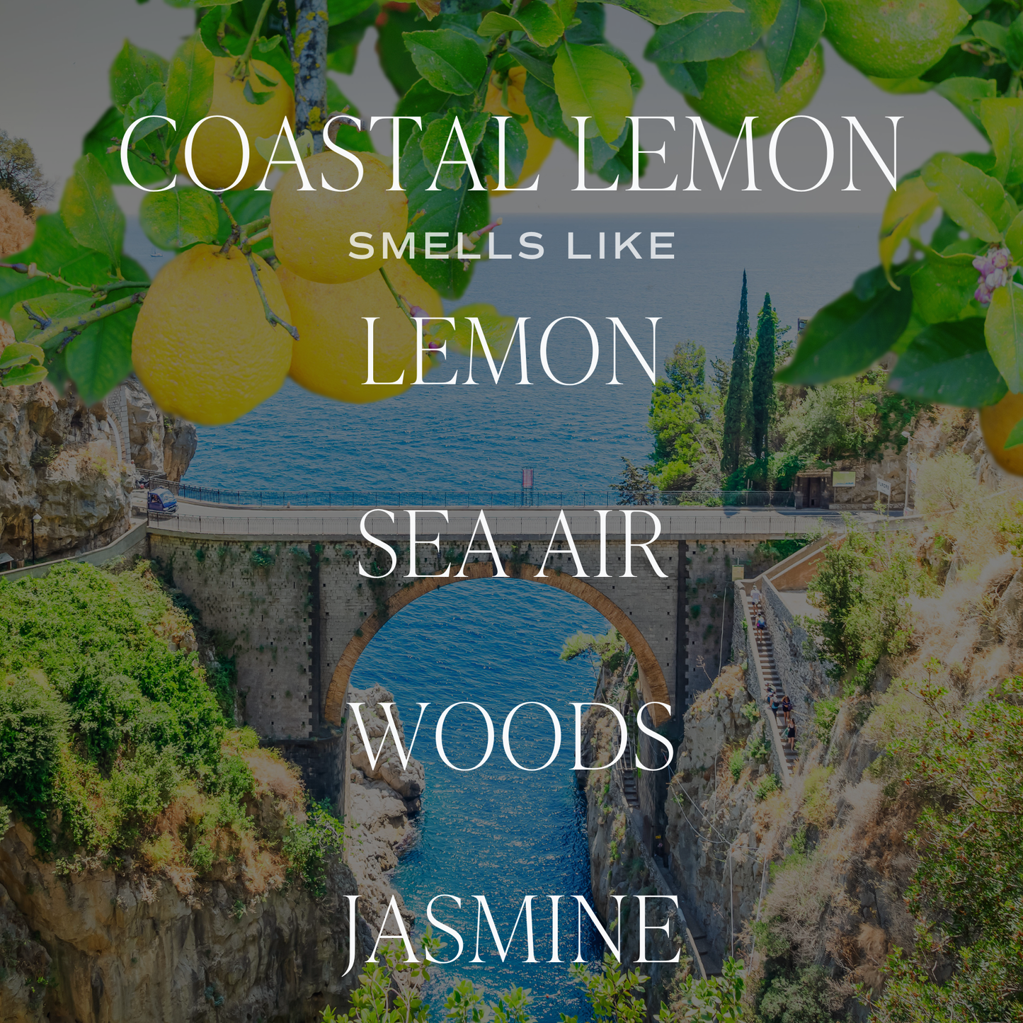 Coastal Lemon 9 oz Soy Candle