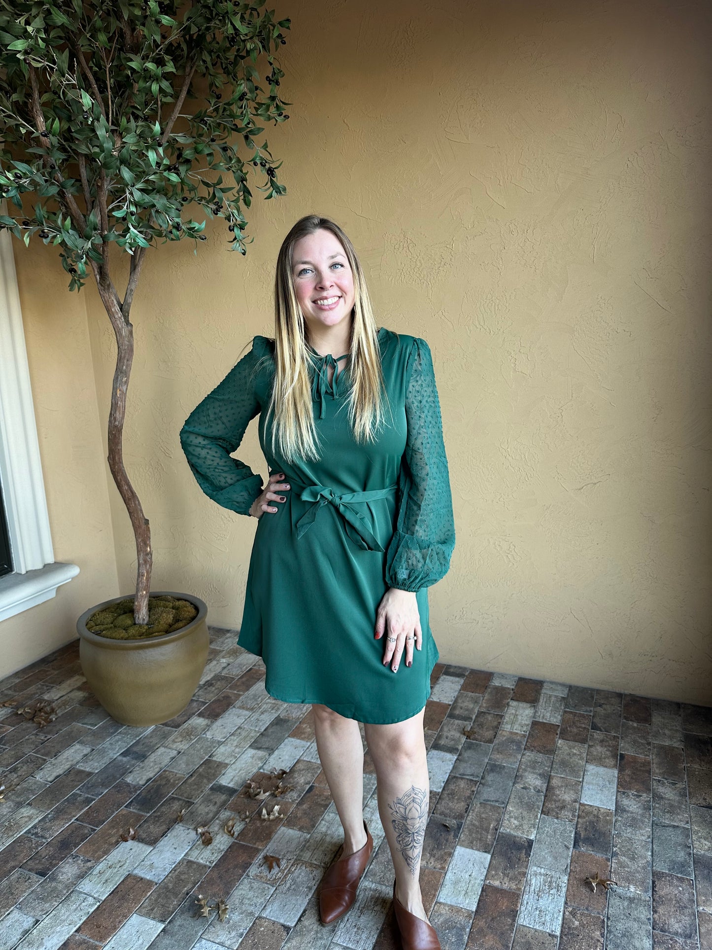 Satin Swiss Dot Sleeve Dress